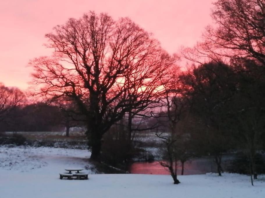 Charming Picturesque Cottage - Nr Tenterden & Rye, Pets Welcomed Rolvenden Luaran gambar