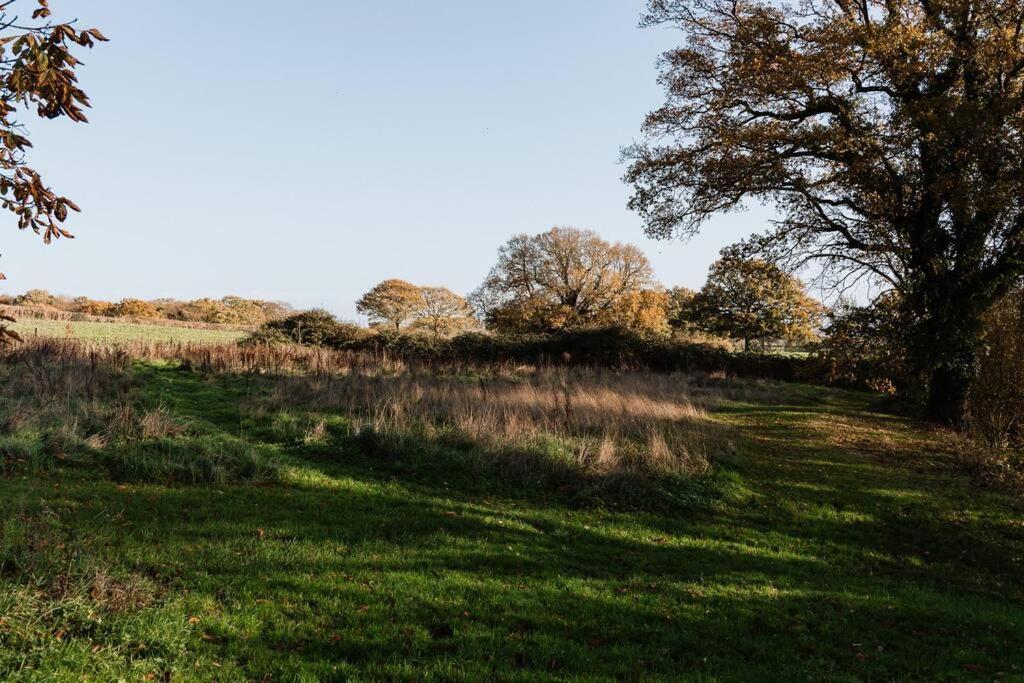 Charming Picturesque Cottage - Nr Tenterden & Rye, Pets Welcomed Rolvenden Luaran gambar