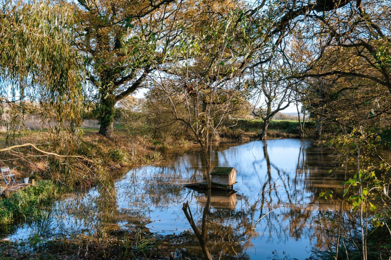 Charming Picturesque Cottage - Nr Tenterden & Rye, Pets Welcomed Rolvenden Luaran gambar